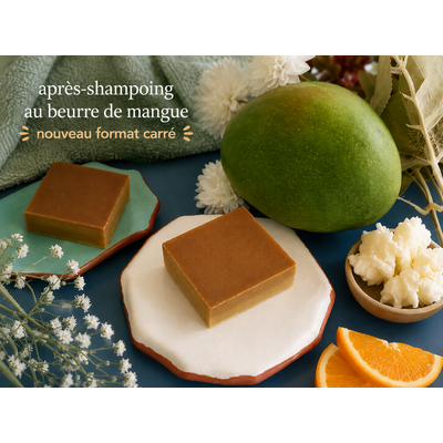Après-shampoing solide naturel au beurre de mangue pour tous les cheveux
