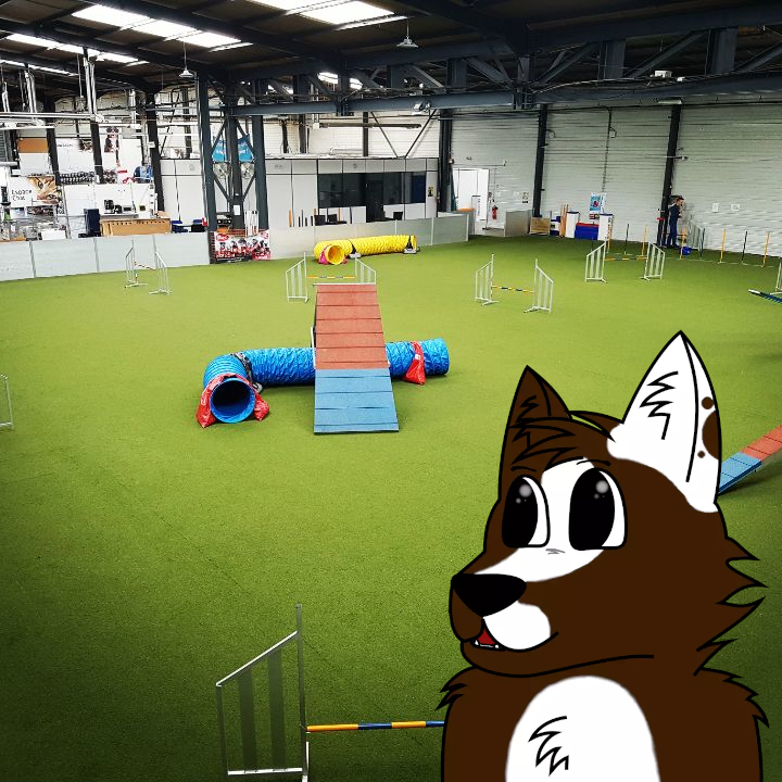entrainer agility indoor nord