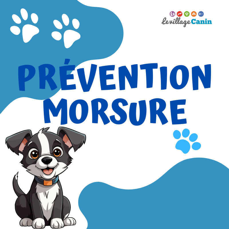 Prévention Moursure enfant lille saint amand les eaux