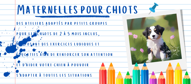 Maternelles école chiot