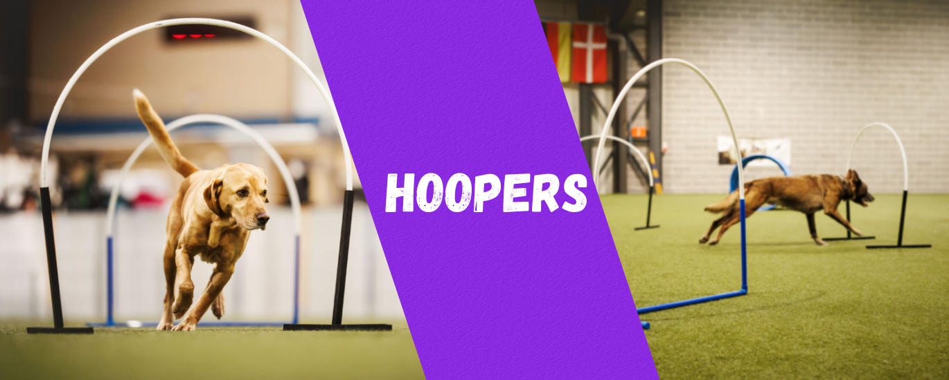 Hoopers