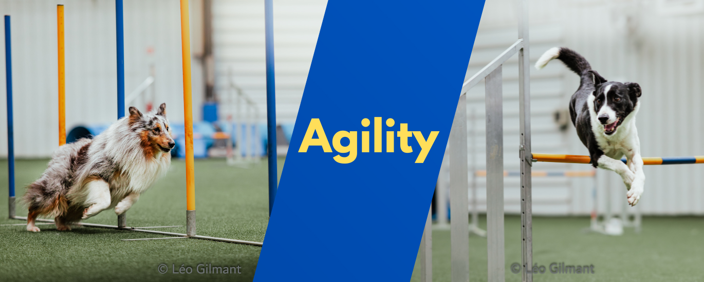 Agility