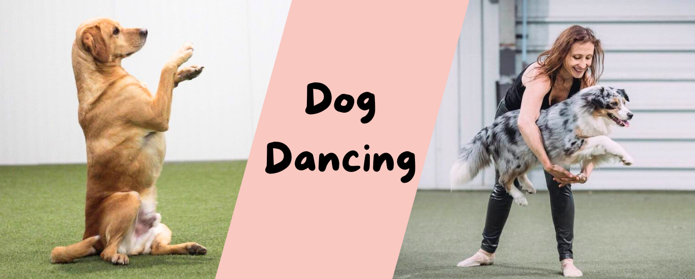 Dog Dancing