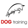 Agility Dog training