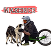Maxence