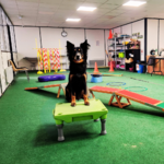 Salle de jeux - Offre particuliers