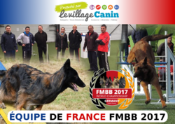 FMBB2017