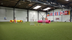 agility valenciennes lille 59