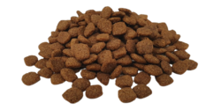 croquette-chien-sterilise