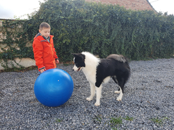 formation canine famille enfant