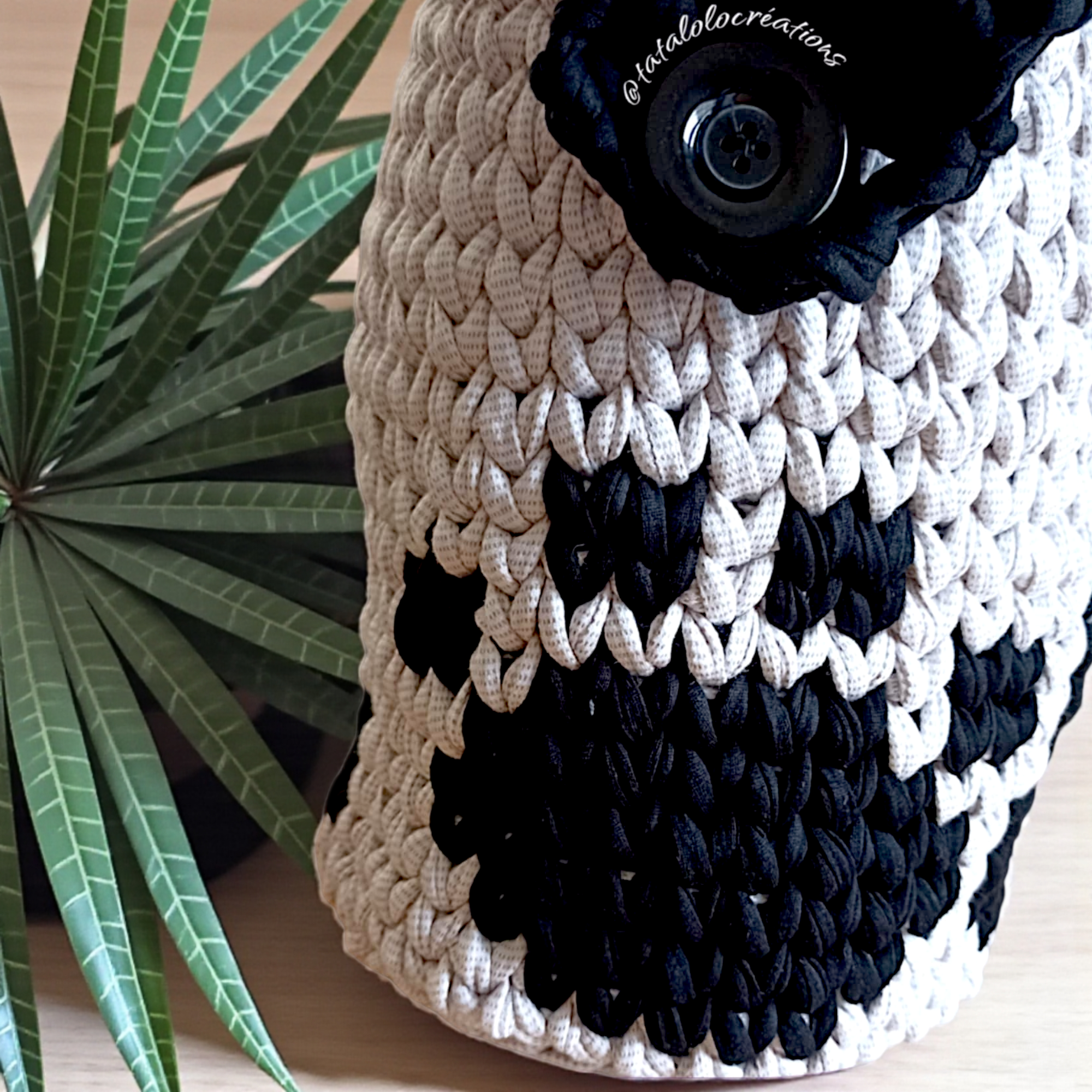 Messenger_creation_71A4D322-3F8F-4AC9-9932-0053F110C8E7