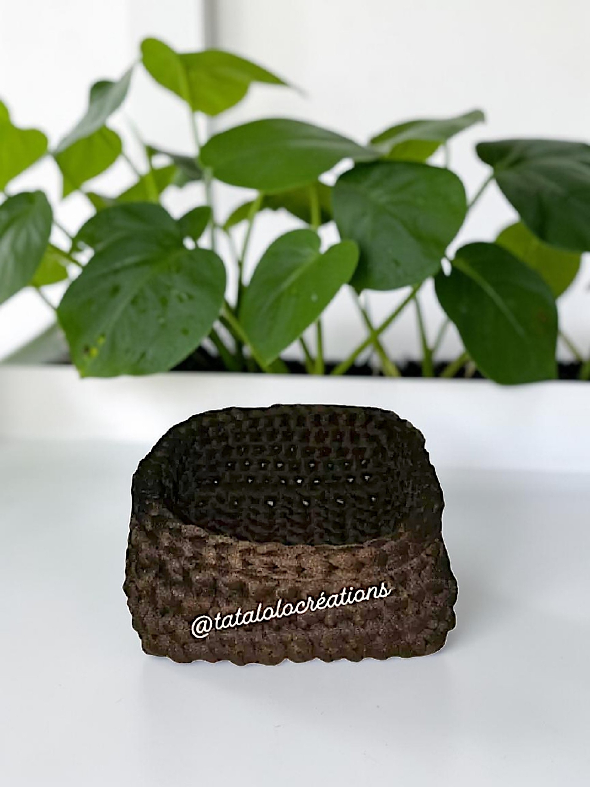 1000005593
