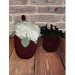 IMG_20201025_121924-removebg-preview