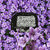 Sac_besace_noir_et_blan-removebg-preview-Photoroom