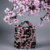 Photoroom-20240218_150440