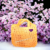 Photoroom-20240218_151123