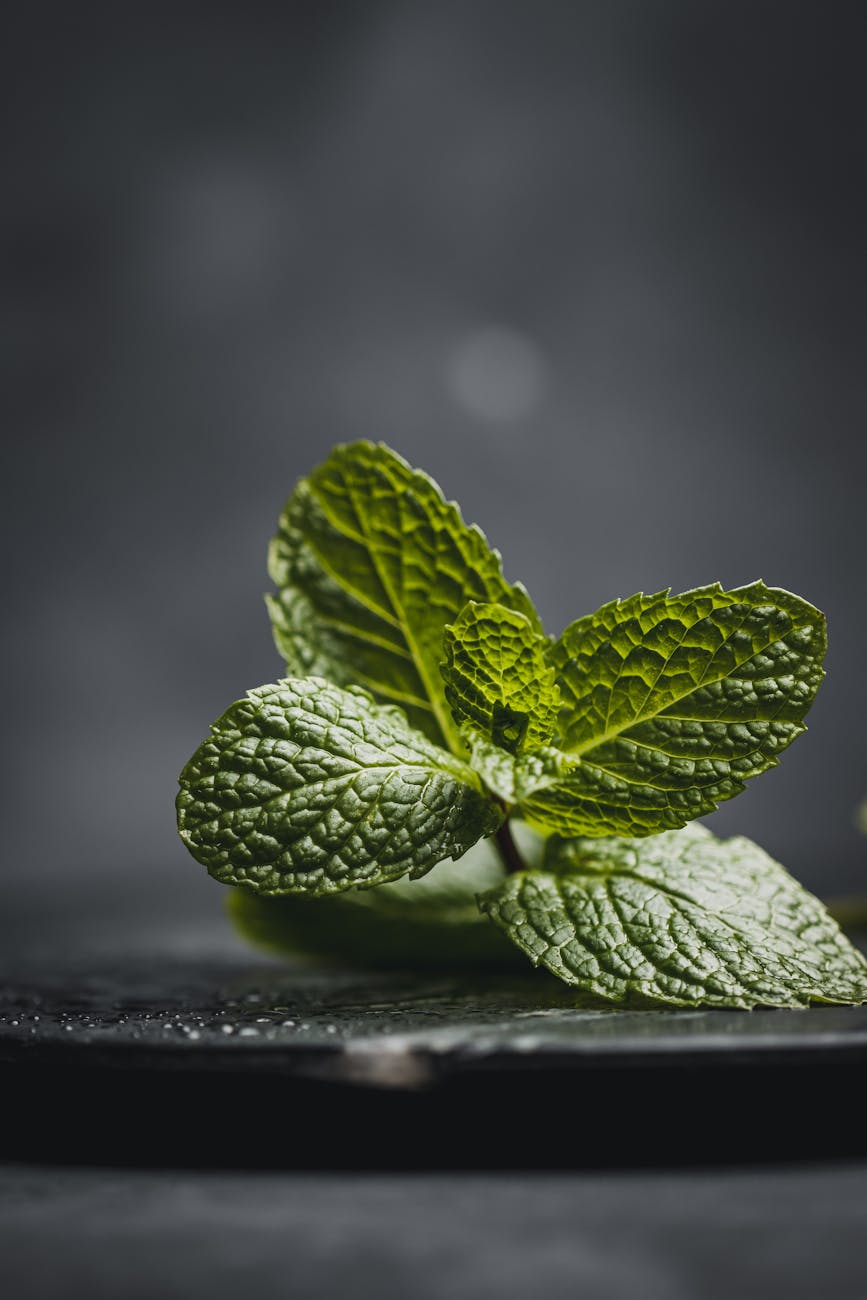 Photos gratuites de à base de plantes, aliment naturel, alimentation biologique
