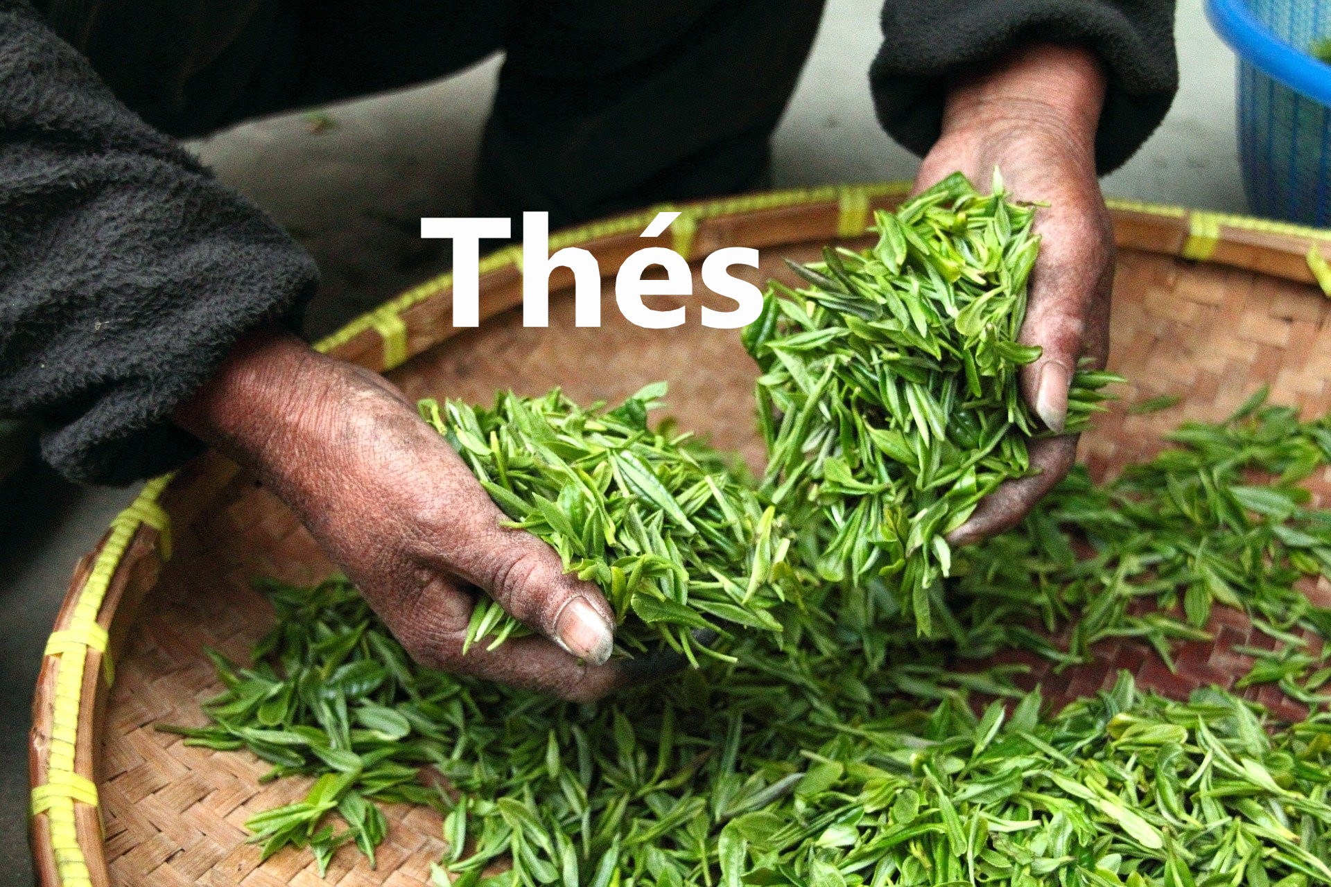 page des thés