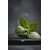 Photos gratuites de à base de plantes, aliment naturel, alimentation biologique