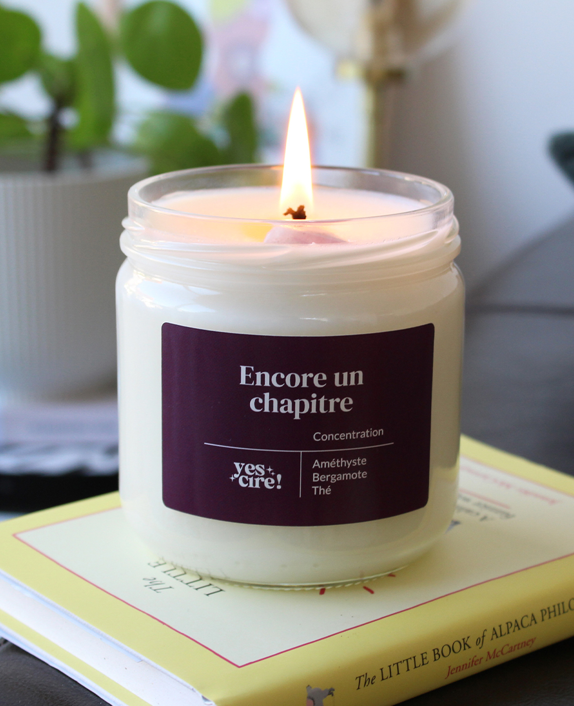 Encore un chapitre - YesCire