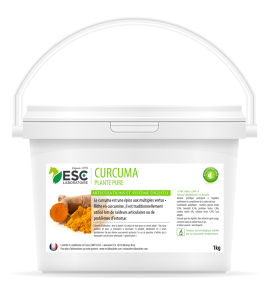 curcuma-1kg