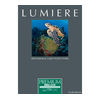 LUMIERE PREMIUM 290 BRILLANT