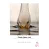 RS86_Photo Luster 290-lpr