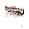 RS85_Photo Pearl 310-lpr