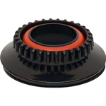 Jobo - COG