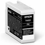 EPSON Cartouche d'encre Photo Black pour SC-P700 - 25 ml (C13T46S100)