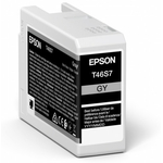 EPSON Cartouche d'encre Grey pour SC-P700 - 25 ml (C13T46S700)