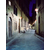 cinestill_dynamic_400_120_photo