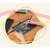 wacom-one-bg_3-mobile