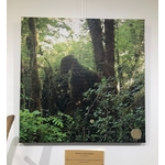 Peuple des forêts expo