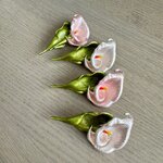 IMG_3591