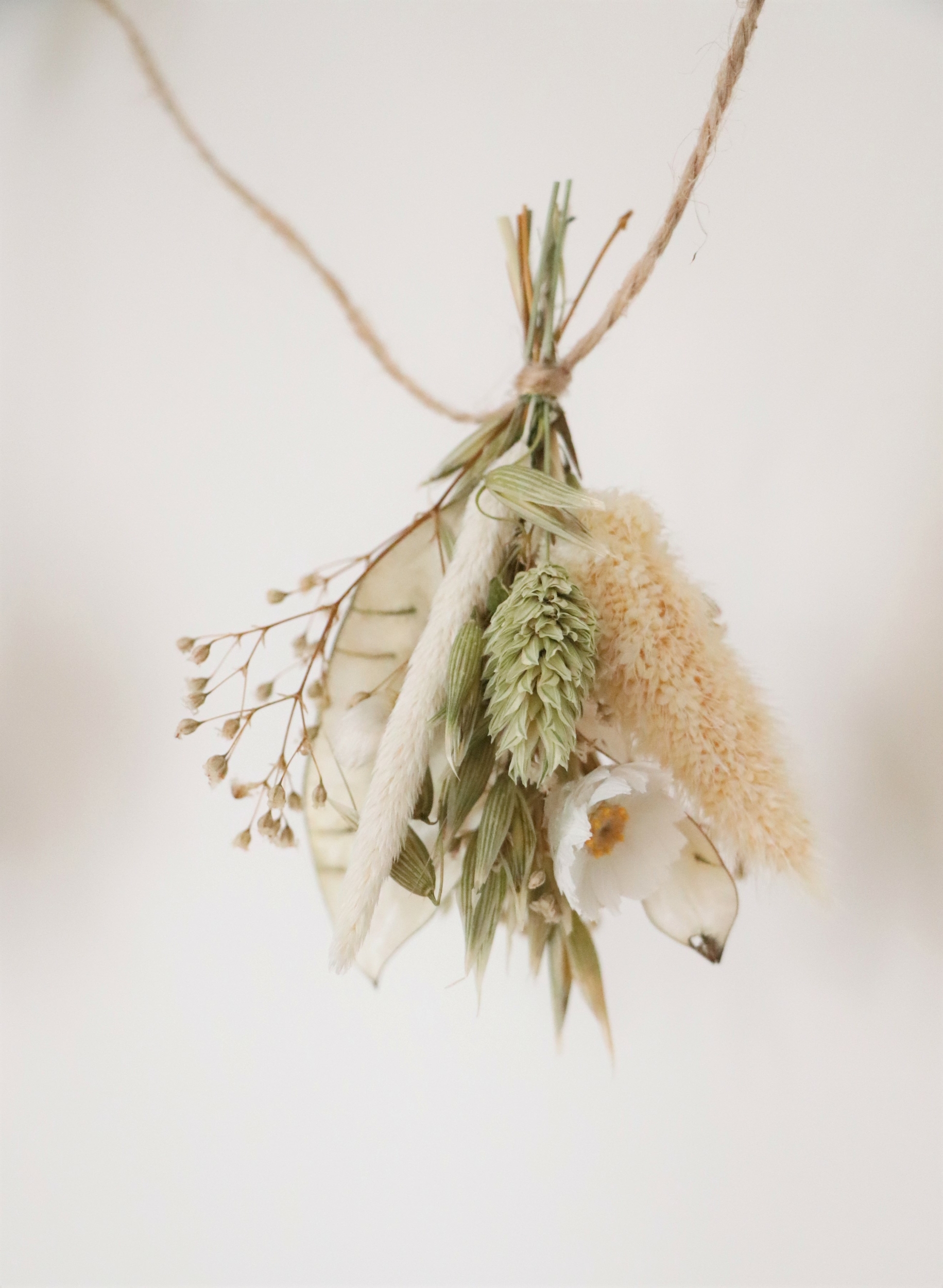 petit bouquet de fleurs séchées