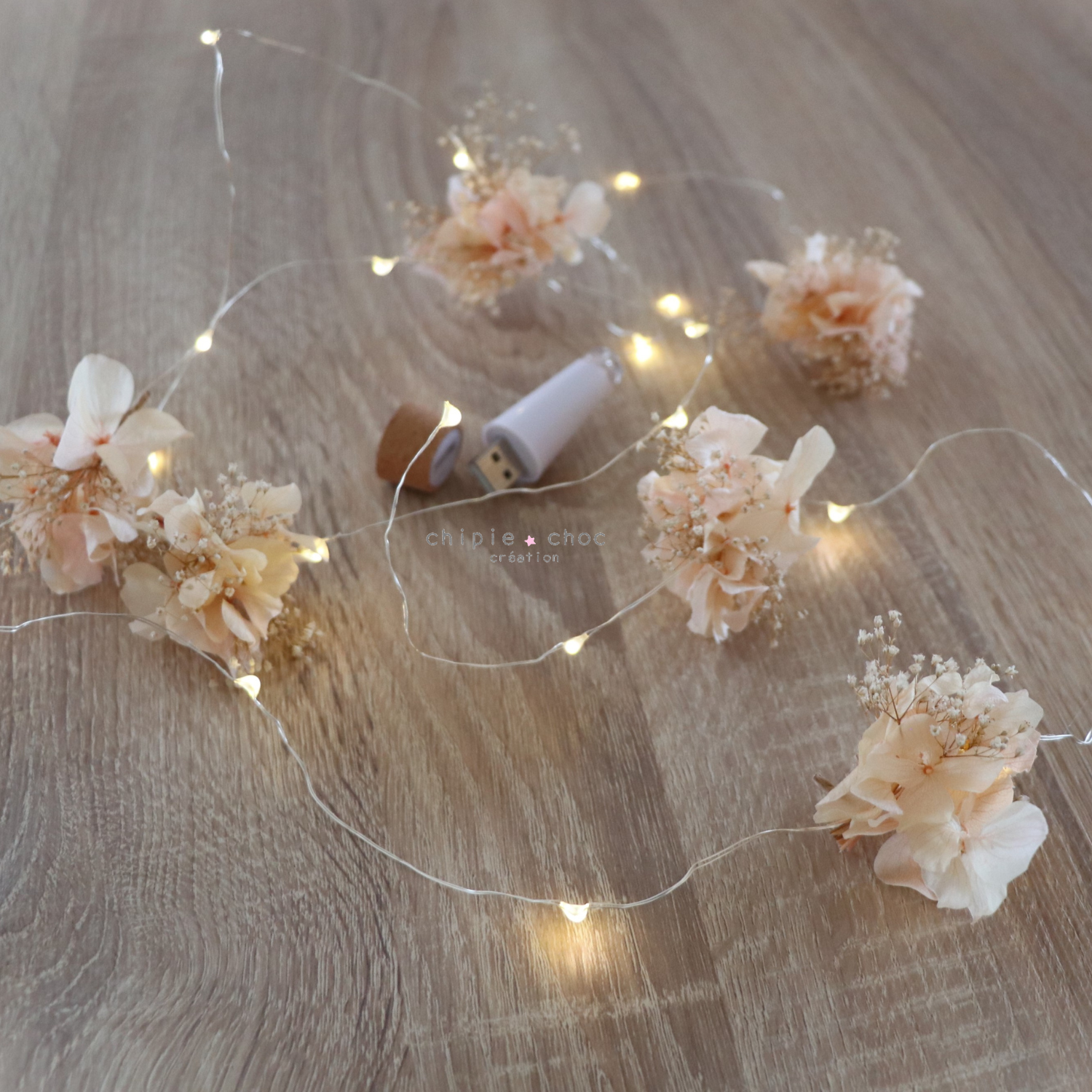 guirlande pêche led usb