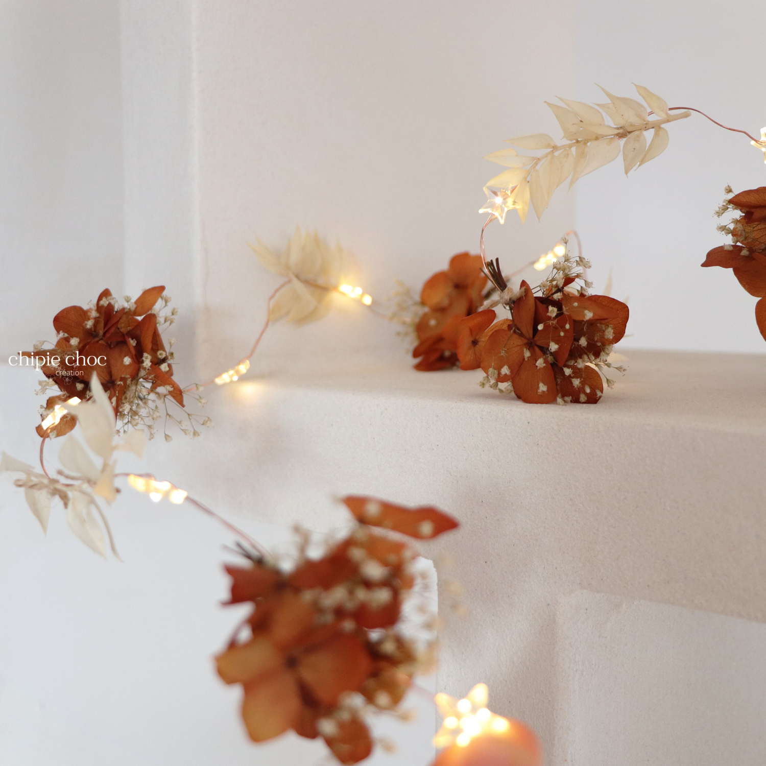 étoile led guirlande fleurs séchées