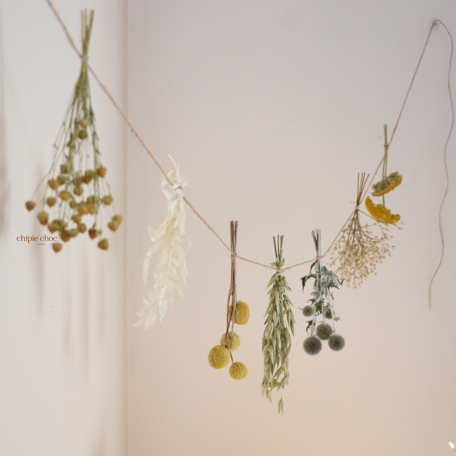 fleurs séchées minimaliste chipie choc
