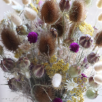 fleurs séchées naturelles de saison