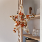 étoile lumineuse fleurs