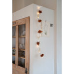 guirlande led étoile fleurs séchées