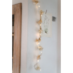 guirlande étoile led fleurs séchées