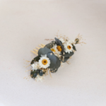 accessoire mariée petite marguerite