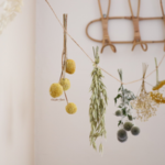 décoration minimaliste fleurs séchées