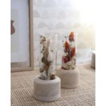 vase et fleurs séchées
