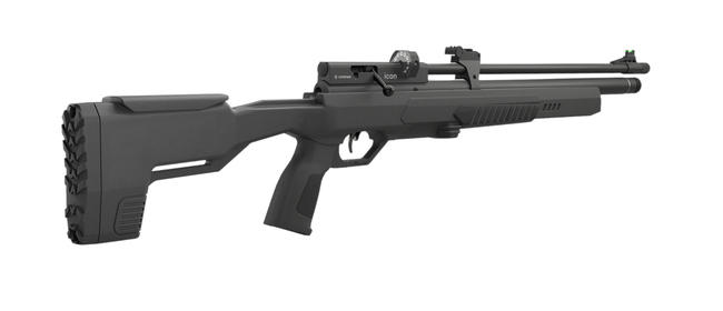 Carabine PCP Crosman Icon 4,5 mm 19,9 joules avec fourreau et 500 plombs 3