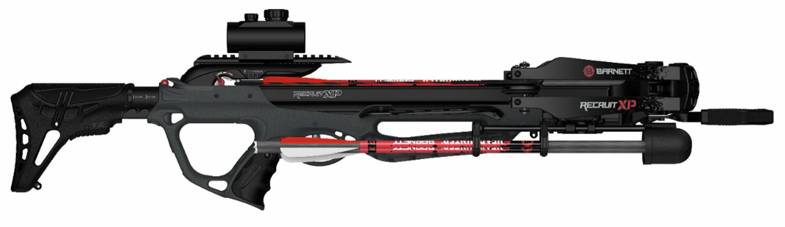 Arbalète à poulies Barnett Recruit XP 125 lbs 330 fps + point rouge 1x30