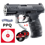 ppq1-1-1