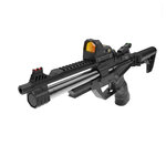 Pack Beeman General PCP 5,5 mm avec point rouge RMR 8
